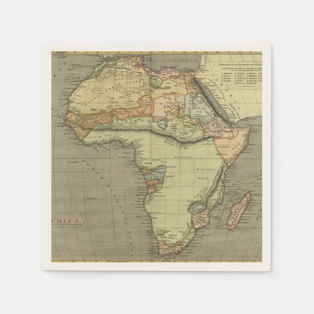 Antique Old Map Inspired Napkin (Front)