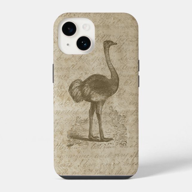 Antique  Ostrich Script Grunge Paper iPhone Case (Back)