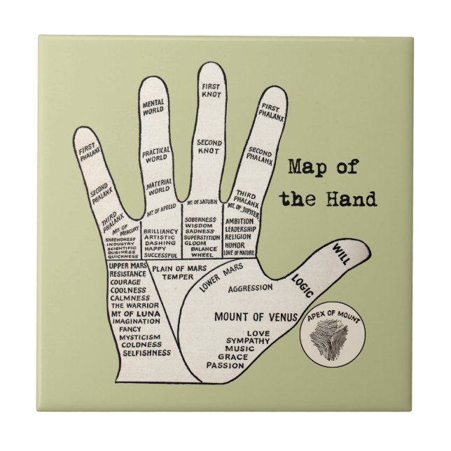 Antique Palm Reader Hand Diagram: Palmistry Tile (Front)
