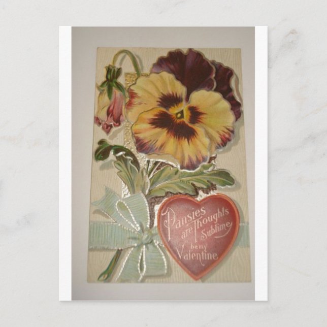 Antique Pansies Love Valentine Holiday Postcard (Front)
