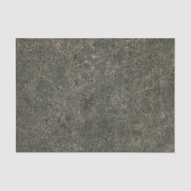 Antique Pattern Book IV Tissue Paper (Front)