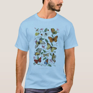Antique Paul Gervais Butterflies Natural History T-Shirt