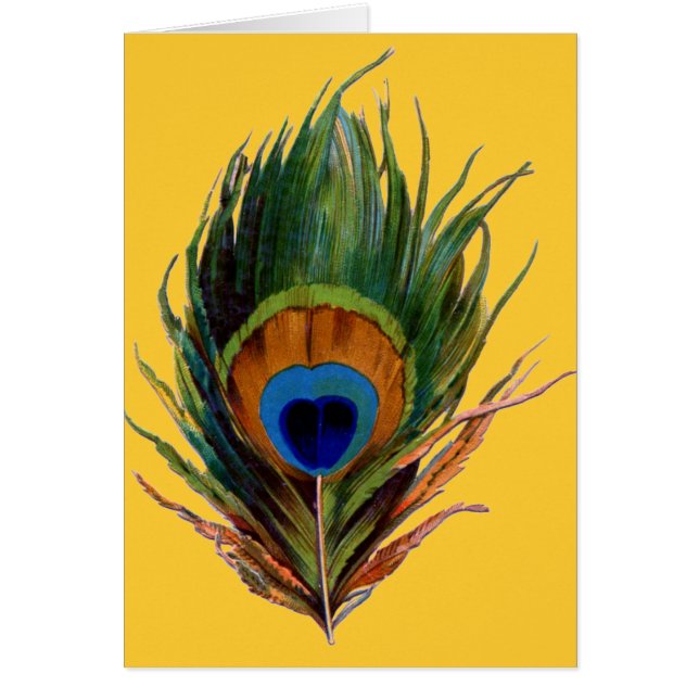 Antique Peacock Feather (Front)