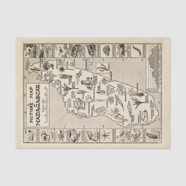 Antique Picture Map Madagascar Island Kraft  Tissue Paper (Front)