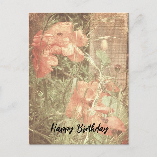 Antique Poppies Birthday Postcard (Front)