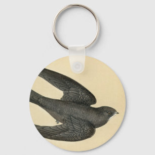 Antique Print of a Swift Key Ring