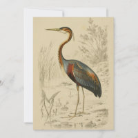 Antique Purple Heron Travies Edouard Print
