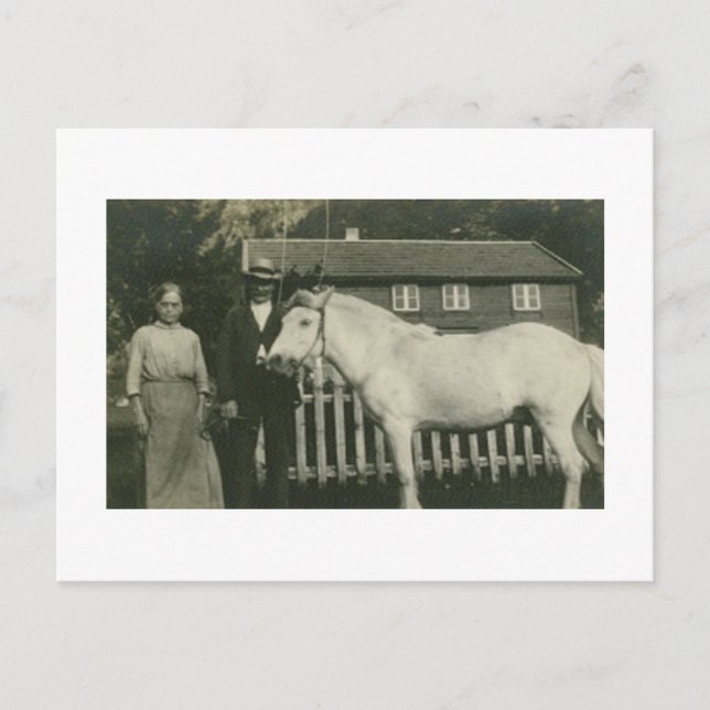 Antique Real Photo Norwegian Farmers Postcard (Front)