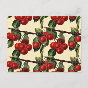 Antique Red Cherry Fruit Wallpaper Design Postcard