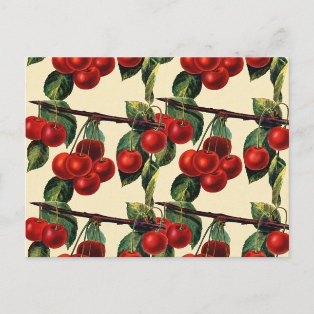 Antique Red Cherry Fruit Wallpaper Design Postcard (Front)