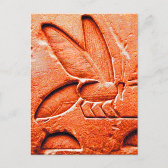 ANTIQUE RED EGYPTIAN HONEY BEE BEEKEEPER POSTCARD (Front)