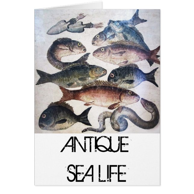 ANTIQUE ROMAN MOSAICS, FISHES,OCEAN SEA LIFE SCENE (Front)
