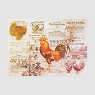 Antique Rooster Horticulture Ads Ephemera Red Tissue Paper