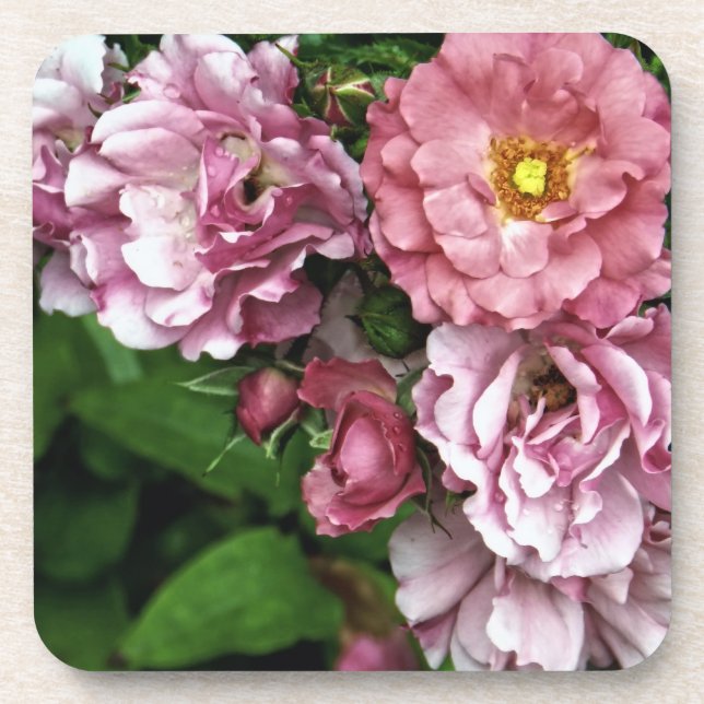 Antique Rose Coaster (Front)
