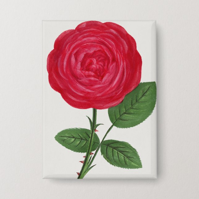 Antique Rose Lithograph, François-Frédéric Grobon (Front)