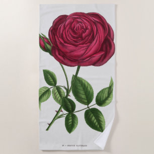 Antique Rose Lithograph, François-Frédéric Grobon Beach Towel