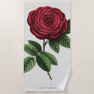 Antique Rose Lithograph, François-Frédéric Grobon Beach Towel