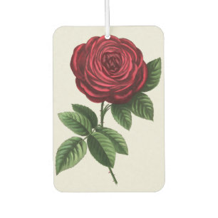 Antique Rose Lithograph, François-Frédéric Grobon Car Air Freshener