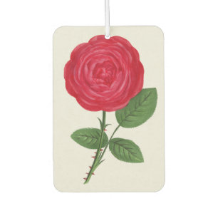Antique Rose Lithograph, François-Frédéric Grobon Car Air Freshener