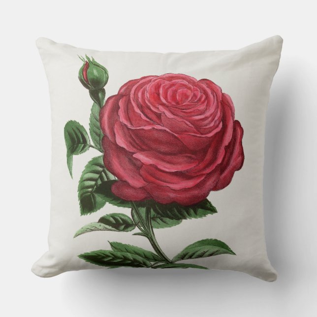 Antique Rose Lithograph, François-Frédéric Grobon Cushion (Front)