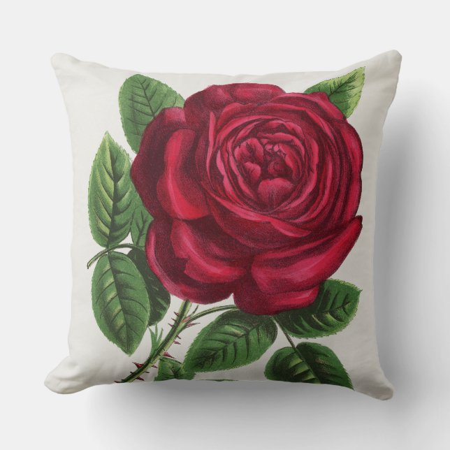 Antique Rose Lithograph, François-Frédéric Grobon Cushion (Front)