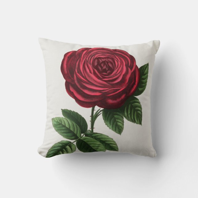 Antique Rose Lithograph, François-Frédéric Grobon Cushion (Front)