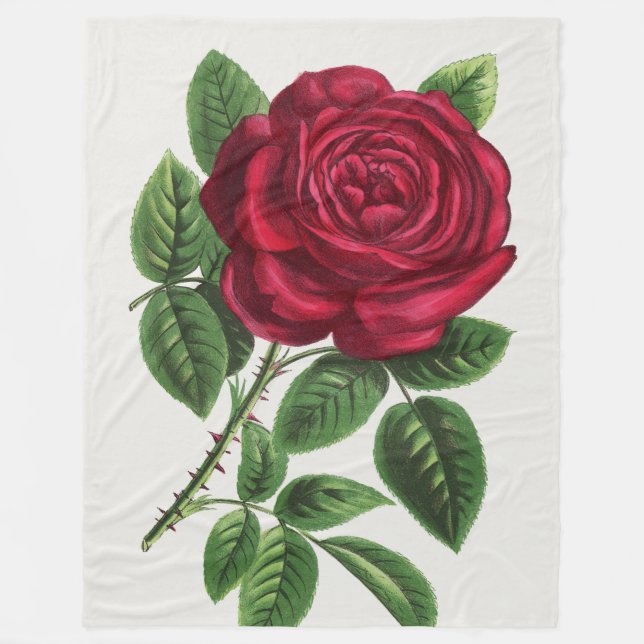 Antique Rose Lithograph, François-Frédéric Grobon Fleece Blanket (Front)