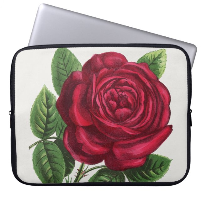 Antique Rose Lithograph, François-Frédéric Grobon Laptop Sleeve (Front)
