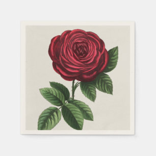 Antique Rose Lithograph, François-Frédéric Grobon Napkin
