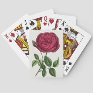 Antique Rose Lithograph, François-Frédéric Grobon Playing Cards
