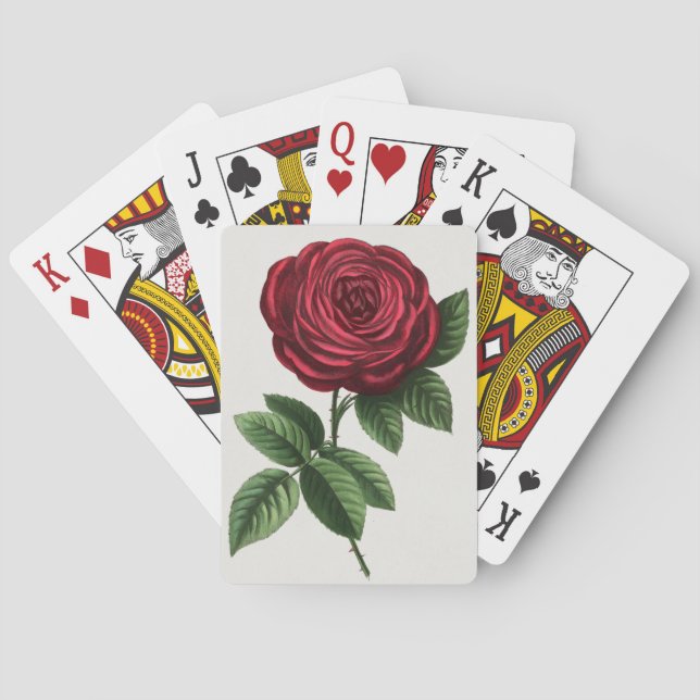 Antique Rose Lithograph, François-Frédéric Grobon Playing Cards (Back)