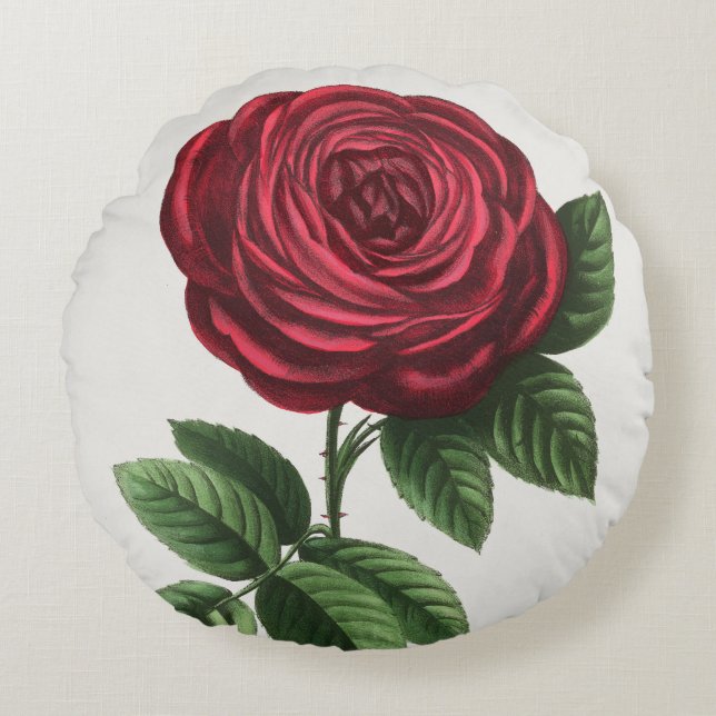 Antique Rose Lithograph, François-Frédéric Grobon Round Cushion (Front)