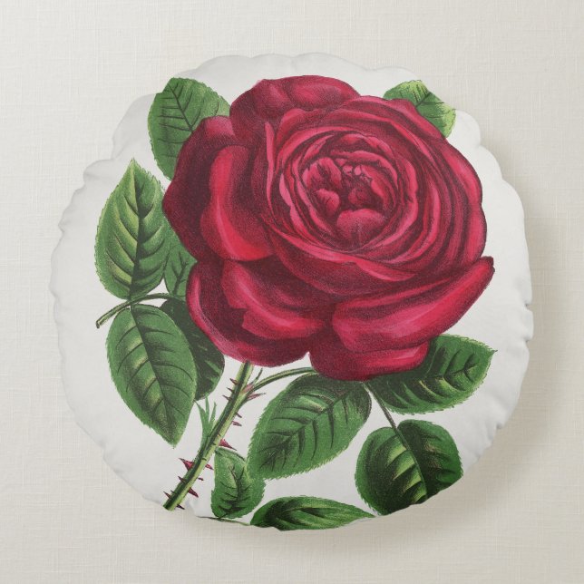 Antique Rose Lithograph, François-Frédéric Grobon Round Cushion (Front)