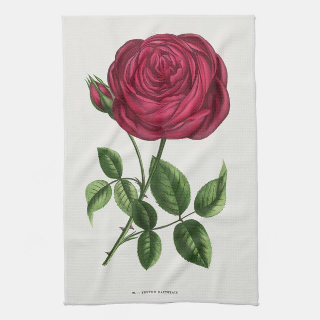Antique Rose Lithograph, François-Frédéric Grobon Tea Towel (Vertical)