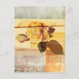 Antique Rose Postcard