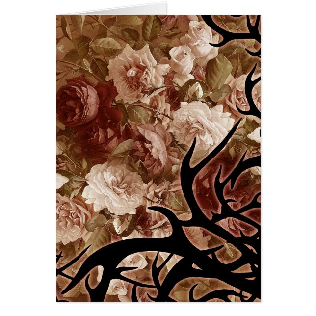 Antique Roses And Thorns (Front)
