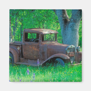 Antique rusted truck in a meadow magnet