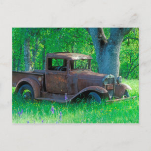 Antique rusted truck in a meadow postcard