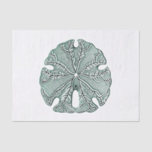 Antique Sea Sand Dollar Illustration Tissue Paper