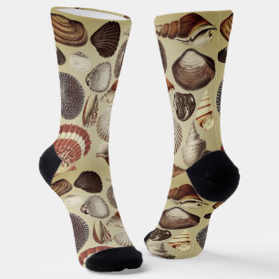 Antique Seashell Crew Socks