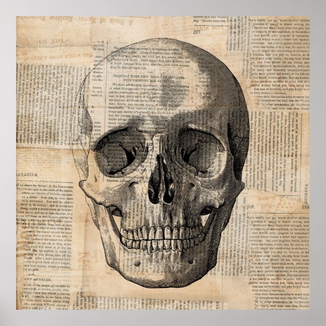 Antique Skull Illustration Vintage Art News Print (Front)