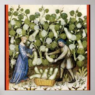 ANTIQUE SQUASH HARVEST POSTER