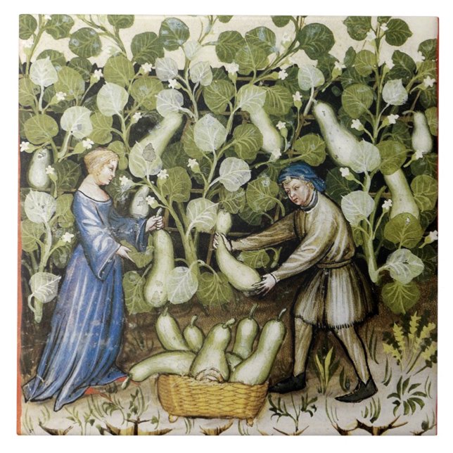 ANTIQUE SQUASH HARVEST TILE (Front)