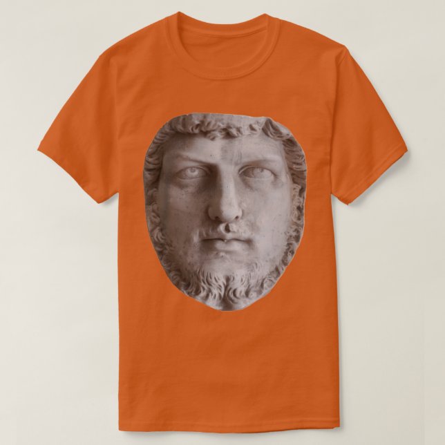 Antique Statue Face T-Shirt (Design Front)