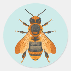 Antique Style Bumble Bee – Vintage Inspired Classic Round Sticker