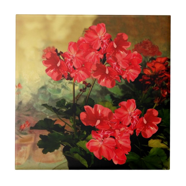 Antique Style Red Geranium Flowers  Gifts Tile (Front)
