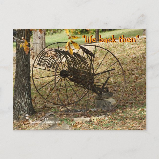 antique sulky hay rake postcard- customise postcard (Front)