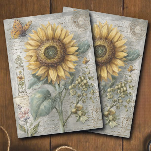 Antique Sunflower Botanical Ephemera Decoupage Tissue Paper