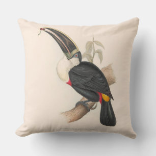 Antique Toucan Bird Wildlife Painting Cushion