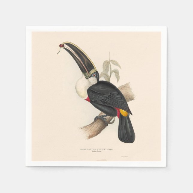 Antique Toucan Bird Wildlife Painting Napkin (Front)